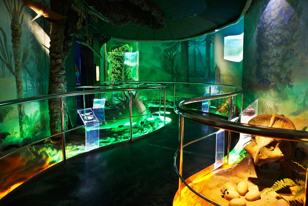 Первоклассники смогут бесплатно посетить Дарвиновский музей в День знаний